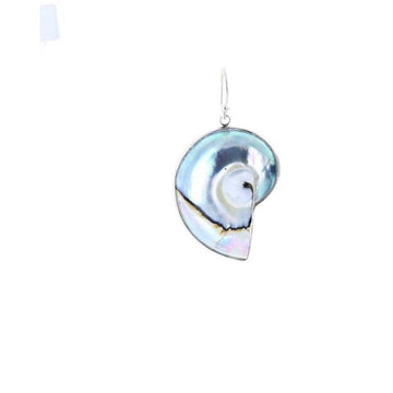 ONS-4151 mirror_orig